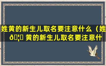 姓黄的新生儿取名要注意什么（姓 🦆 黄的新生儿取名要注意什 🌾 么事项）